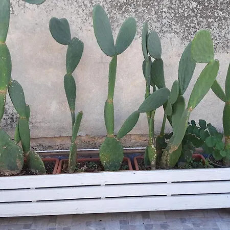 A'ma Casa Μόντικα